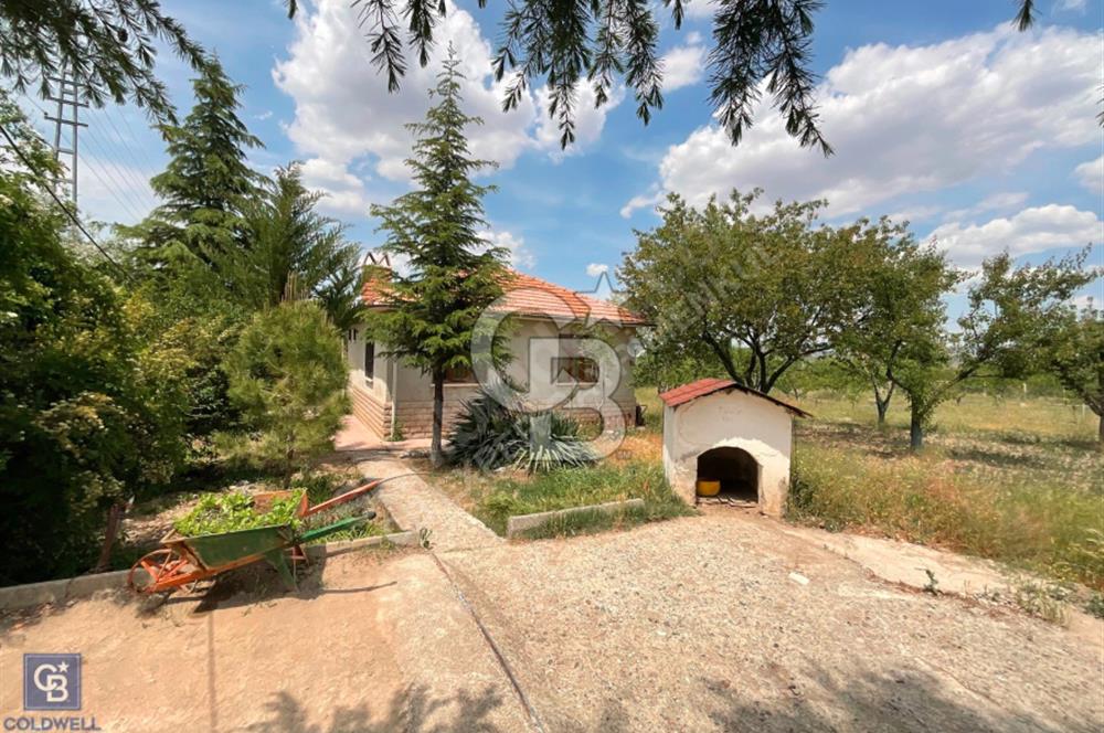 KALECİK ŞENYURTTA SATILIK 9,160,90 m2 ÇİFTLİK