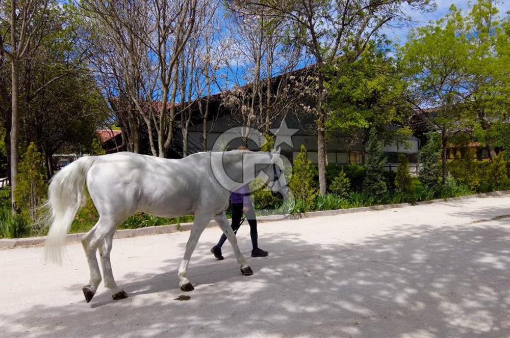 CAPITAL COUNTRY LIFE VİLLA'LARINDA NATAMAM SATILIK 5+2 VİLLA