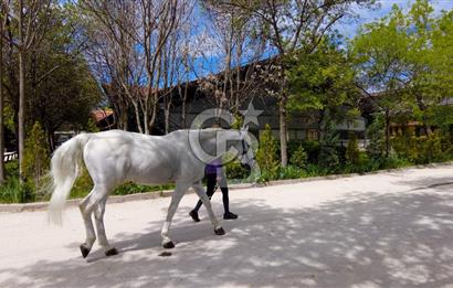 CAPITAL COUNTRY LIFE VİLLA'LARINDA NATAMAM SATILIK 5+2 VİLLA