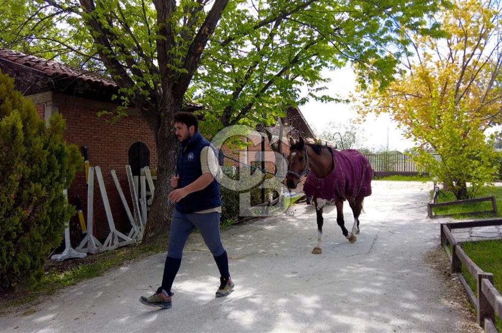 CAPITAL COUNTRY LIFE VİLLA'LARINDA NATAMAM SATILIK 5+2 VİLLA