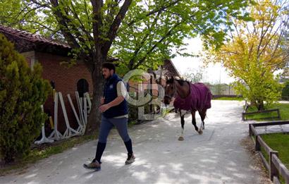 CAPITAL COUNTRY LIFE VİLLA'LARINDA NATAMAM SATILIK 5+2 VİLLA