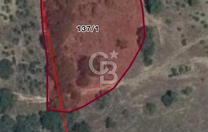 BURSA KESTEL NÜSHETİYE SATILIK TARLA