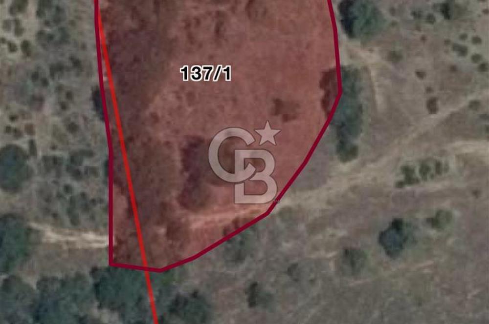 BURSA KESTEL NÜSHETİYE SATILIK TARLA