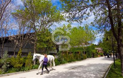 CAPITAL COUNTRY LIFE VİLLA'LARINDA NATAMAM SATILIK 5+2 VİLLA