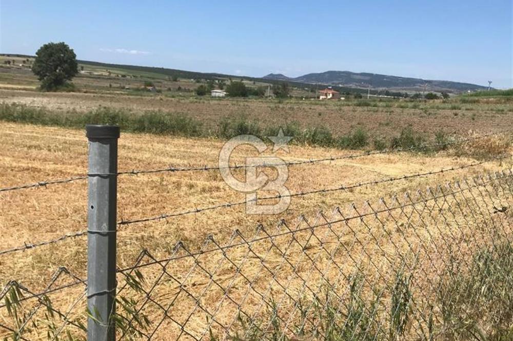 Edirne, Enez, Gülçavuş Satılık Arsa