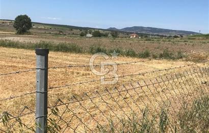 Edirne, Enez, Gülçavuş Satılık Arsa