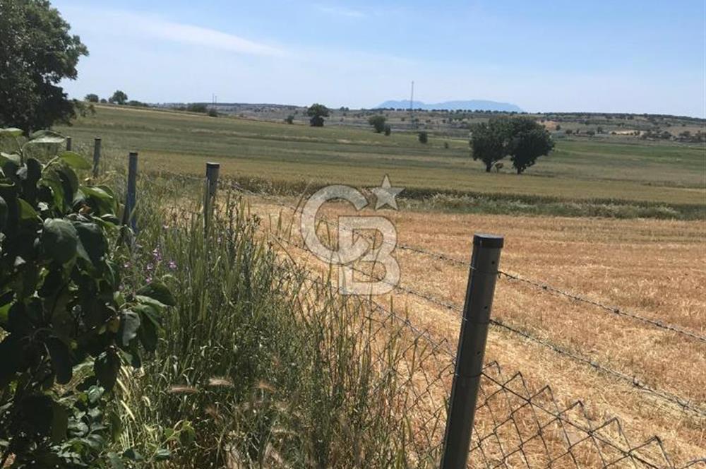 Edirne, Enez, Gülçavuş Satılık Arsa