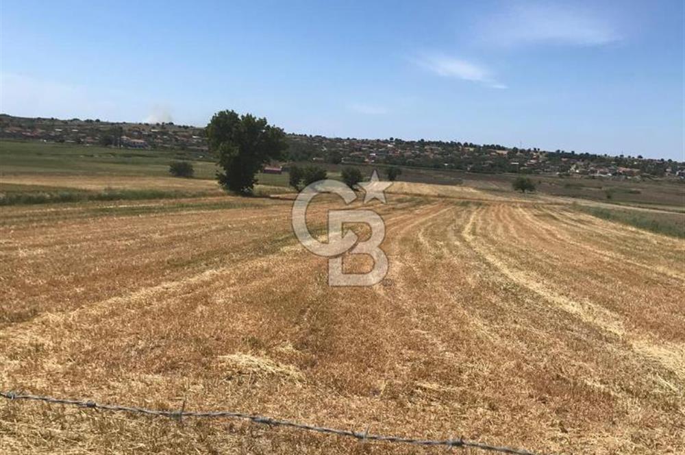 Edirne, Enez, Gülçavuş Satılık Arsa