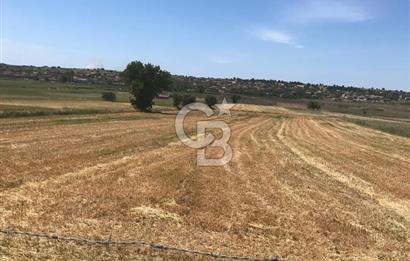 Edirne, Enez, Gülçavuş Satılık Arsa