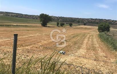Edirne, Enez, Gülçavuş Satılık Arsa