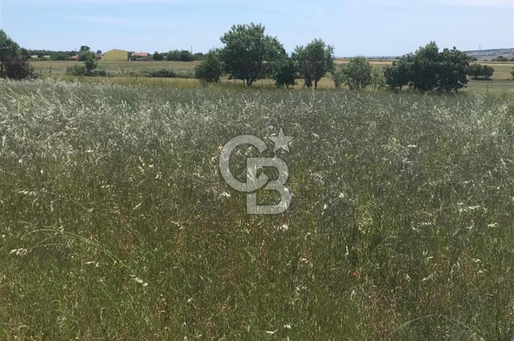 Edirne, Enez, Gülçavuş Satılık Arsa