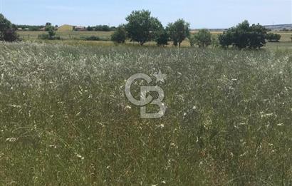 Edirne, Enez, Gülçavuş Satılık Arsa