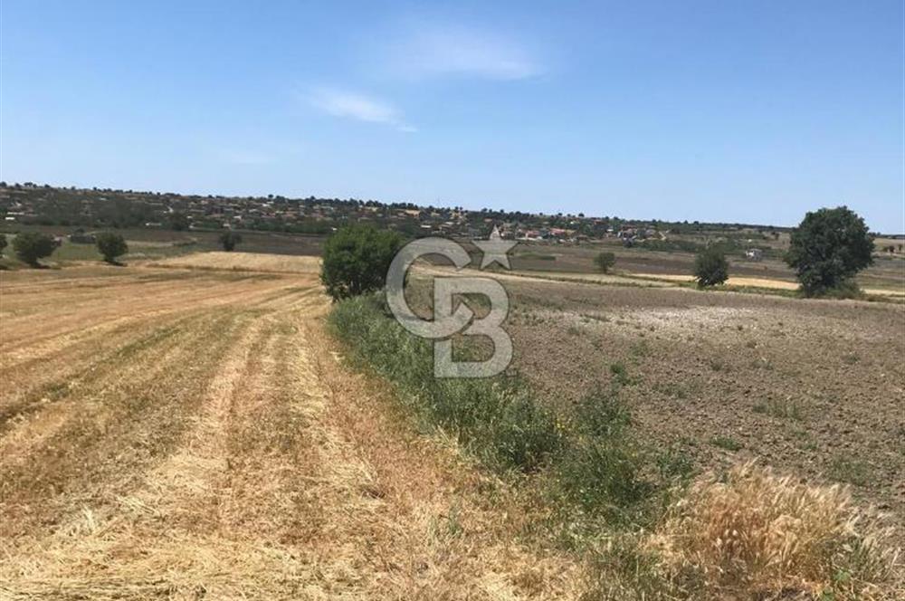 Edirne, Enez, Gülçavuş Satılık Arsa