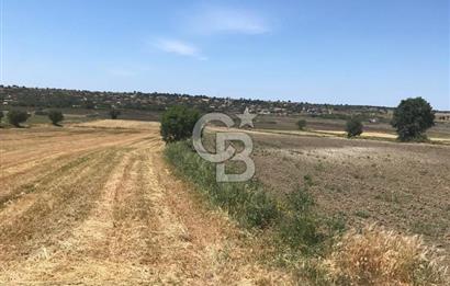 Edirne, Enez, Gülçavuş Satılık Arsa