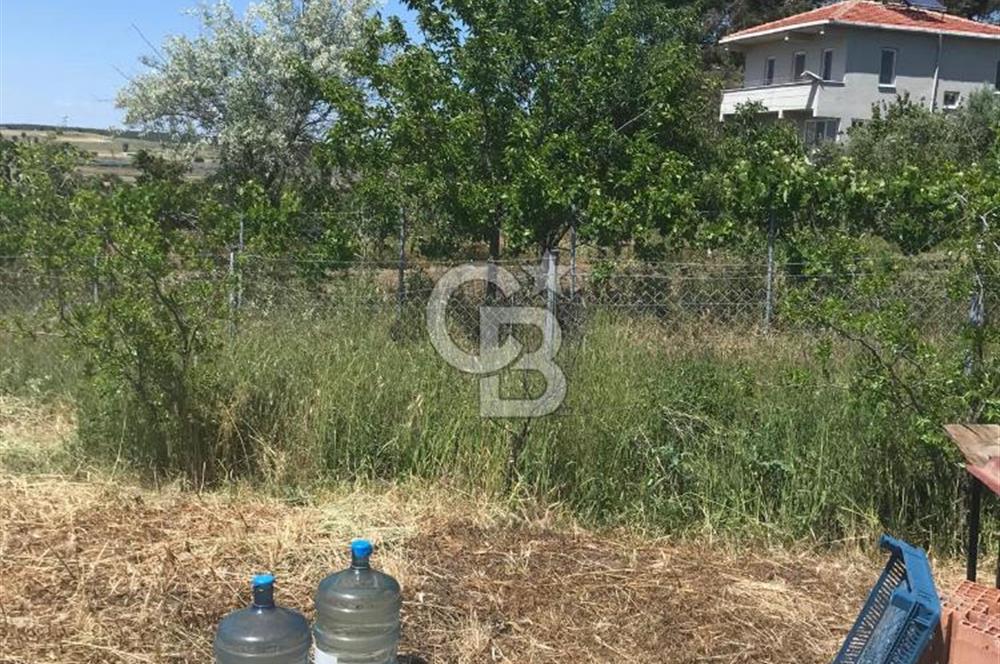 Edirne, Enez, Gülçavuş Satılık Arsa