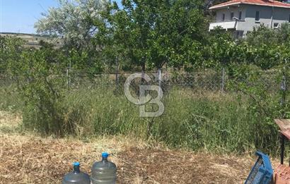 Edirne, Enez, Gülçavuş Satılık Arsa