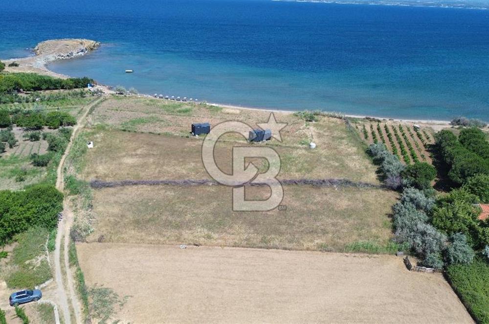 ÇANAKKALE BOZCAADA TEKİRBAHÇE KOYUNDA SATILIK TARLA DENİZE 120 MT