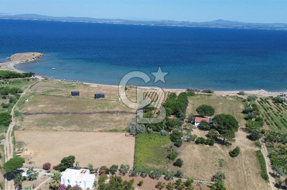 ÇANAKKALE BOZCAADA TEKİRBAHÇE KOYUNDA SATILIK TARLA DENİZE 120 MT