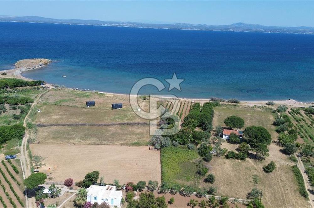 ÇANAKKALE BOZCAADA TEKİRBAHÇE KOYUNDA SATILIK TARLA DENİZE 120 MT