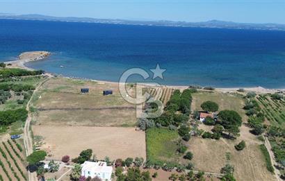 ÇANAKKALE BOZCAADA TEKİRBAHÇE KOYUNDA SATILIK TARLA DENİZE 120 MT