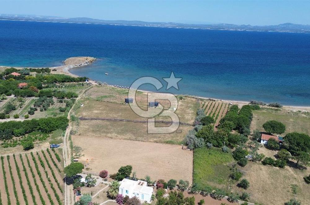 ÇANAKKALE BOZCAADA TEKİRBAHÇE KOYUNDA SATILIK TARLA DENİZE 120 MT