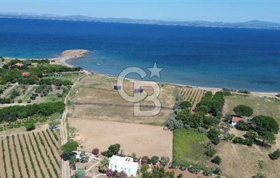 ÇANAKKALE BOZCAADA TEKİRBAHÇE KOYUNDA SATILIK TARLA DENİZE 120 MT