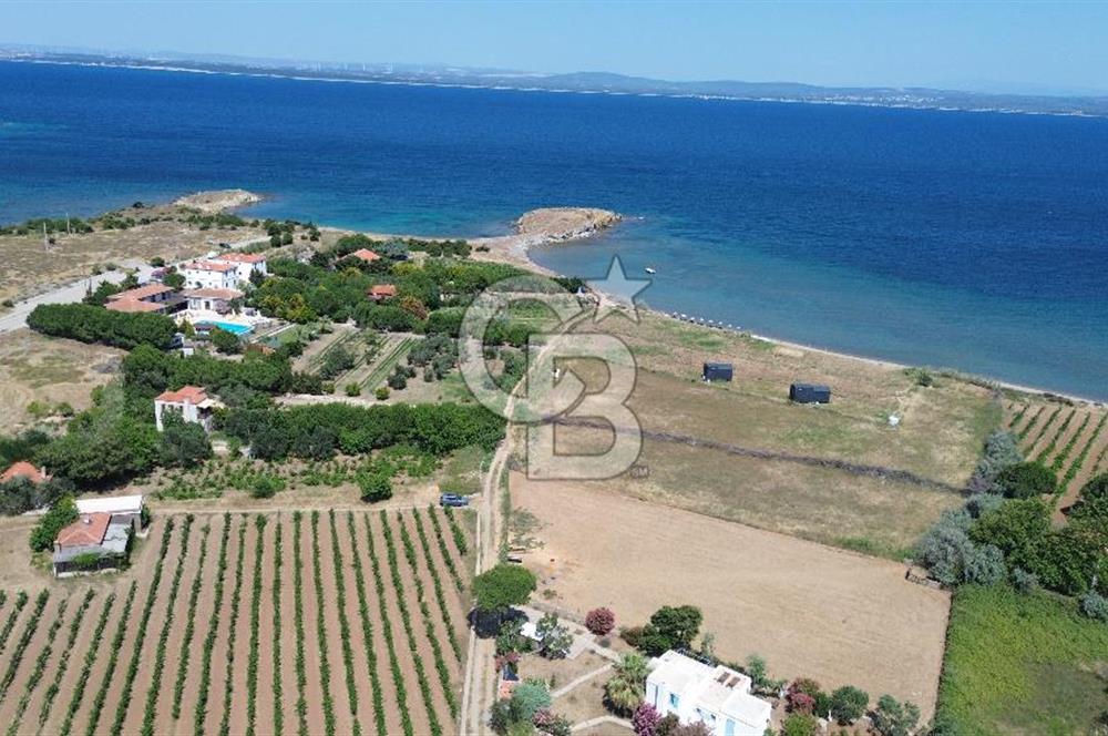 ÇANAKKALE BOZCAADA TEKİRBAHÇE KOYUNDA SATILIK TARLA DENİZE 120 MT