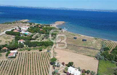 ÇANAKKALE BOZCAADA TEKİRBAHÇE KOYUNDA SATILIK TARLA DENİZE 120 MT