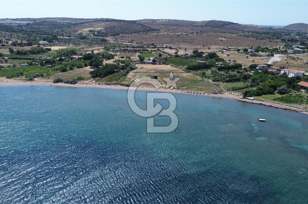 ÇANAKKALE BOZCAADA TEKİRBAHÇE KOYUNDA SATILIK TARLA DENİZE 120 MT