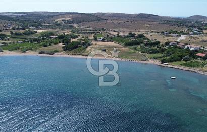 ÇANAKKALE BOZCAADA TEKİRBAHÇE KOYUNDA SATILIK TARLA DENİZE 120 MT