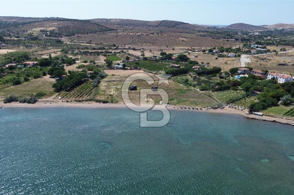 ÇANAKKALE BOZCAADA TEKİRBAHÇE KOYUNDA SATILIK TARLA DENİZE 120 MT