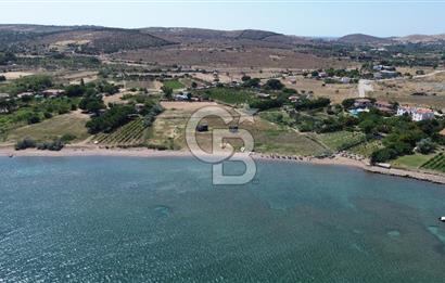 ÇANAKKALE BOZCAADA TEKİRBAHÇE KOYUNDA SATILIK TARLA DENİZE 120 MT
