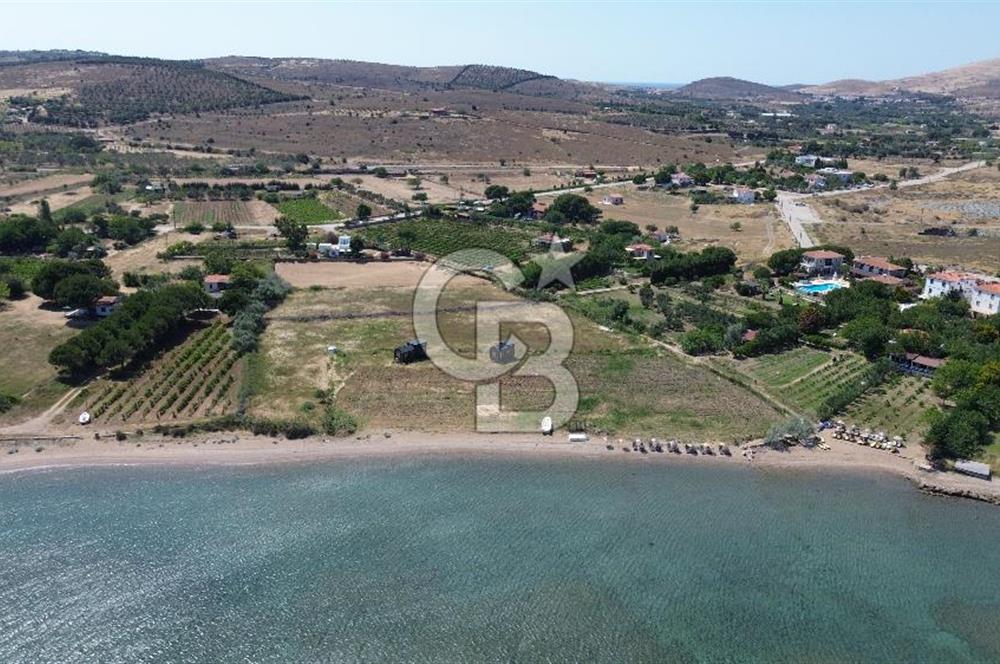ÇANAKKALE BOZCAADA TEKİRBAHÇE KOYUNDA SATILIK TARLA DENİZE 120 MT