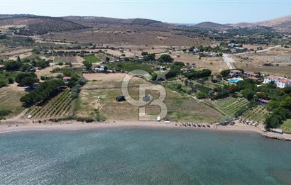 ÇANAKKALE BOZCAADA TEKİRBAHÇE KOYUNDA SATILIK TARLA DENİZE 120 MT