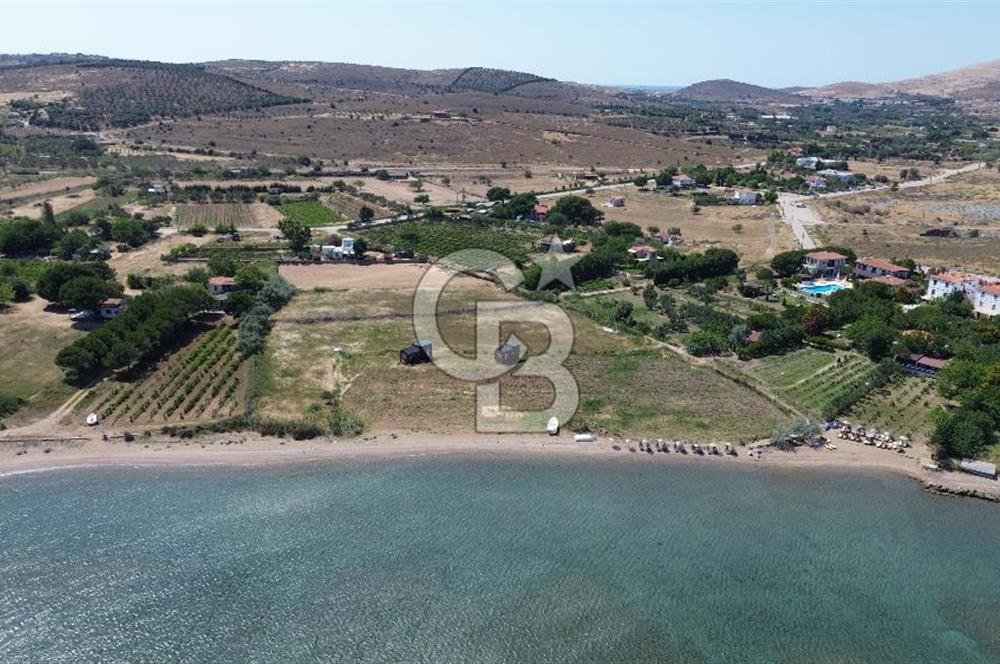 ÇANAKKALE BOZCAADA TEKİRBAHÇE KOYUNDA SATILIK TARLA DENİZE 120 MT