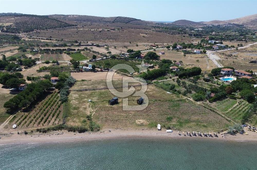 ÇANAKKALE BOZCAADA TEKİRBAHÇE KOYUNDA SATILIK TARLA DENİZE 120 MT