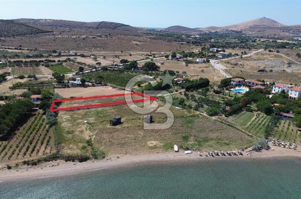 ÇANAKKALE BOZCAADA TEKİRBAHÇE KOYUNDA SATILIK TARLA DENİZE 120 MT