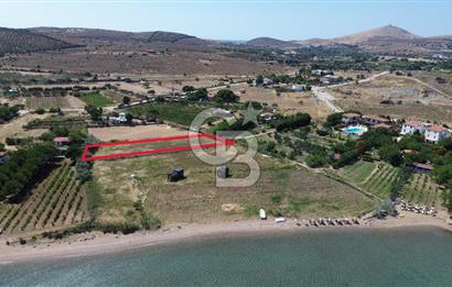 ÇANAKKALE BOZCAADA TEKİRBAHÇE KOYUNDA SATILIK TARLA DENİZE 120 MT