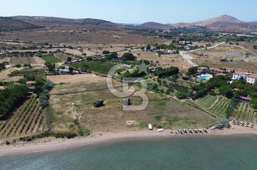 ÇANAKKALE BOZCAADA TEKİRBAHÇE KOYUNDA SATILIK TARLA DENİZE 120 MT