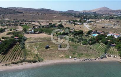 ÇANAKKALE BOZCAADA TEKİRBAHÇE KOYUNDA SATILIK TARLA DENİZE 120 MT