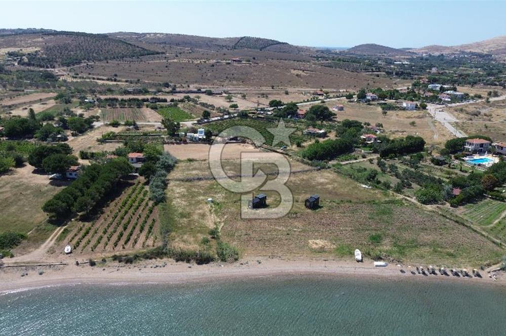 ÇANAKKALE BOZCAADA TEKİRBAHÇE KOYUNDA SATILIK TARLA DENİZE 120 MT