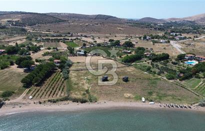 ÇANAKKALE BOZCAADA TEKİRBAHÇE KOYUNDA SATILIK TARLA DENİZE 120 MT