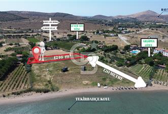 ÇANAKKALE BOZCAADA TEKİRBAHÇE KOYUNDA SATILIK TARLA DENİZE 120 MT