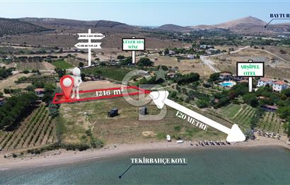 ÇANAKKALE BOZCAADA TEKİRBAHÇE KOYUNDA SATILIK TARLA DENİZE 120 MT