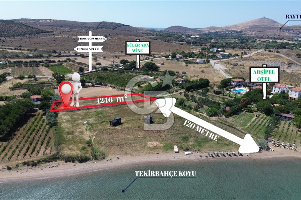 ÇANAKKALE BOZCAADA TEKİRBAHÇE KOYUNDA SATILIK TARLA DENİZE 120 MT
