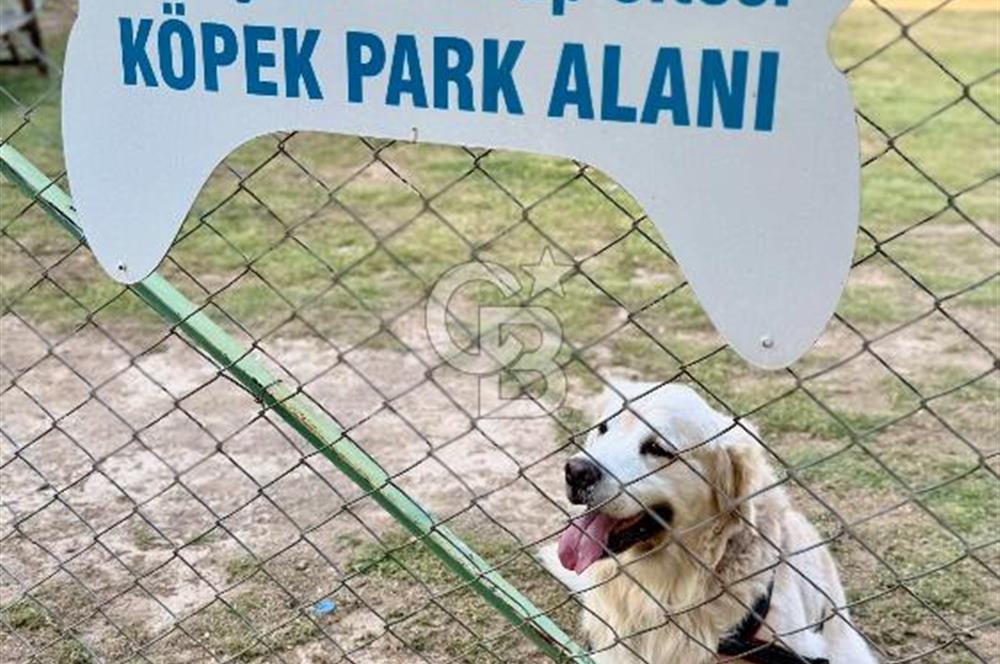 Mavişehir Pamukkale GÜÇLENDİRİLMİŞ 12. Blok'ta Satılık 3+1