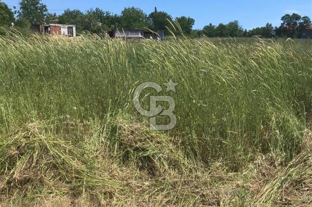 Edirne, Enez, Gülçavuş Satılık Arsa