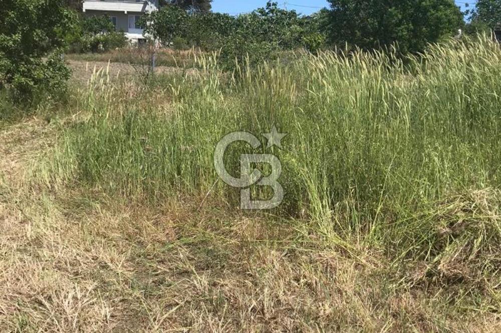 Edirne, Enez, Gülçavuş Satılık Arsa