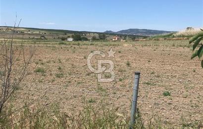 Edirne, Enez, Gülçavuş Satılık Arsa