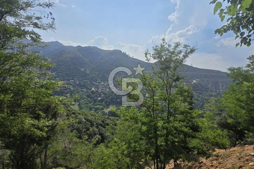 Denizli Altındere Takasa Açık 289 M² Satılık Arsa